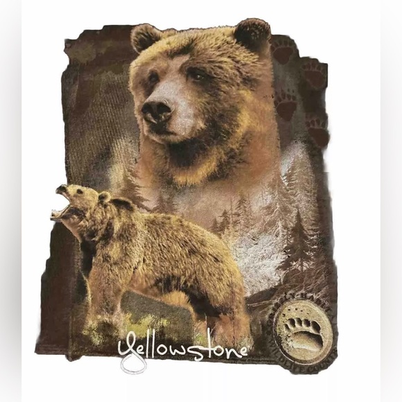 Medium Yellowstone Grizzly Habitat Bear Country Graphic T Gildan Heavy Cotton - Picture 2 of 4